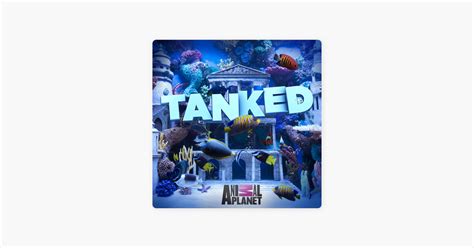 Tanked Season 10 Episode 1: 100 Episodes Strong! .